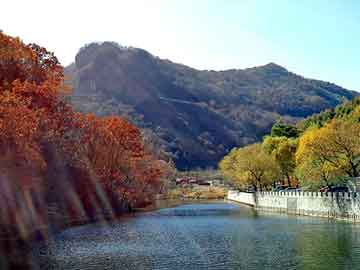 澳门二四六天天彩图库，永生之巅峰之路